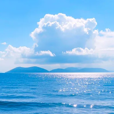 ตู่ นันทิดา avatar